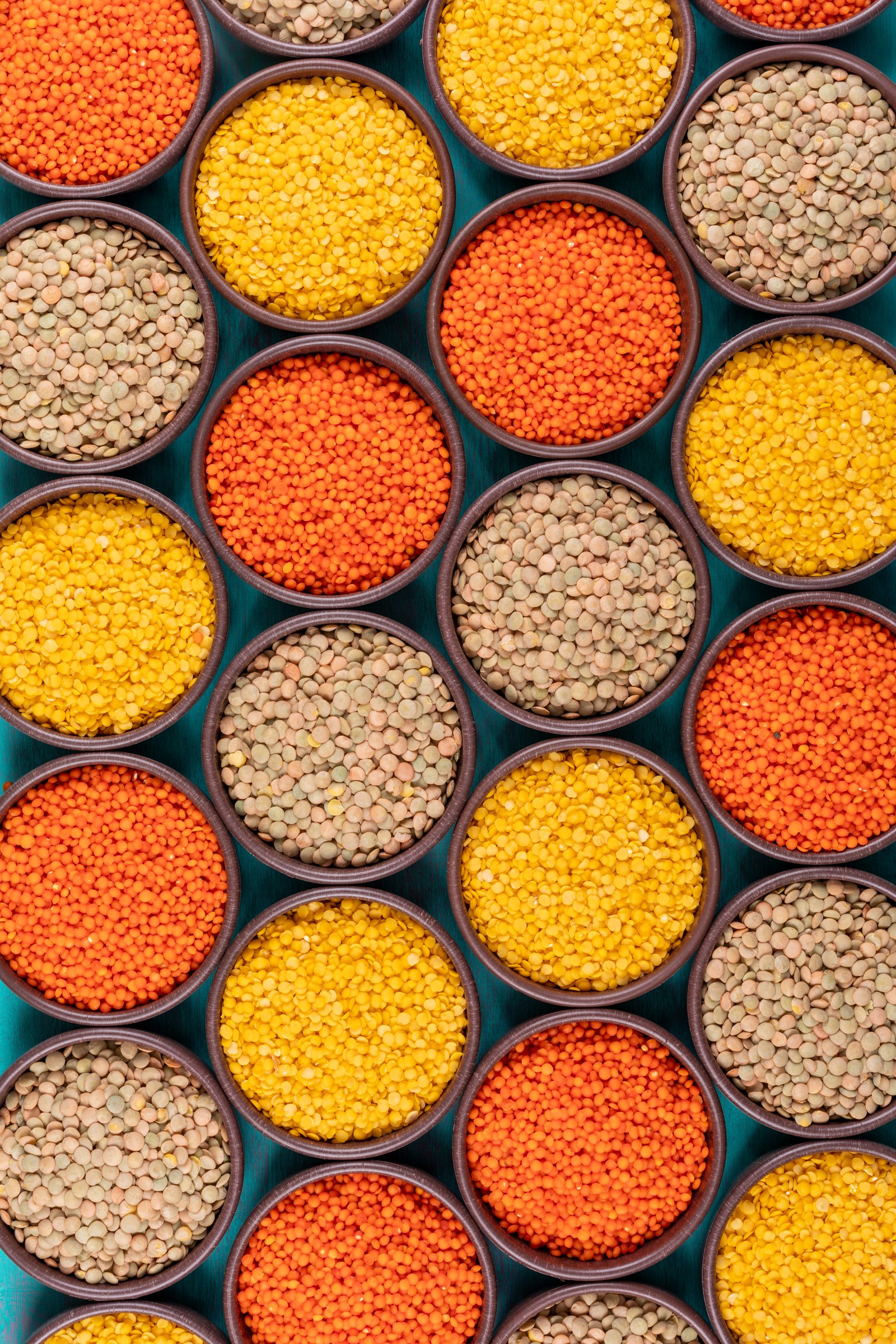 صورة من شركة الخريف